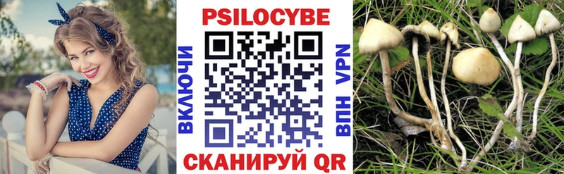 Галлюциногенные грибы MAGIC MUSHROOMS  наркошоп  Кировград 